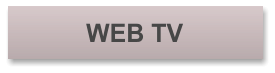 WEB TV